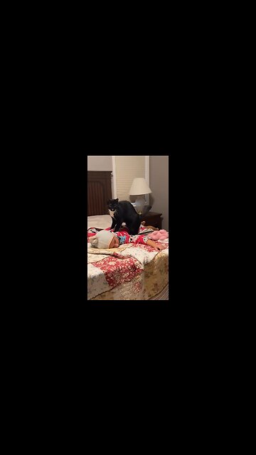 Mittens was top in his chiropractic class