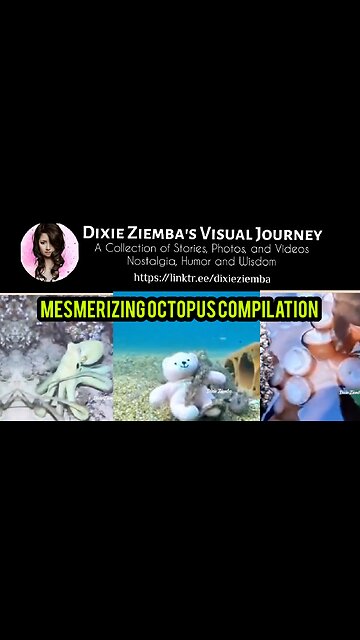 Mesmerizing Octopus Compilation