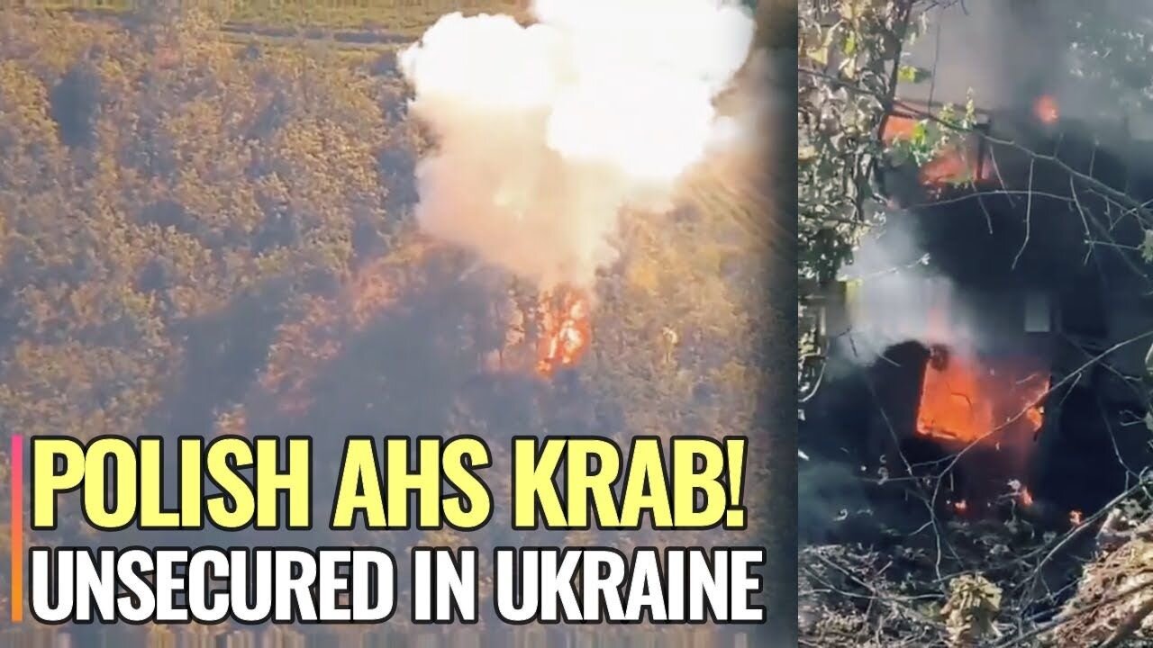 Russian Msta-S burns Polish AHS Krab camouflaged in forest belt