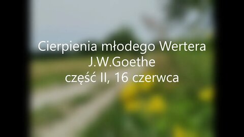 Cierpienia młodego Wertera-J.W.Goethe część II, 16 czerwca