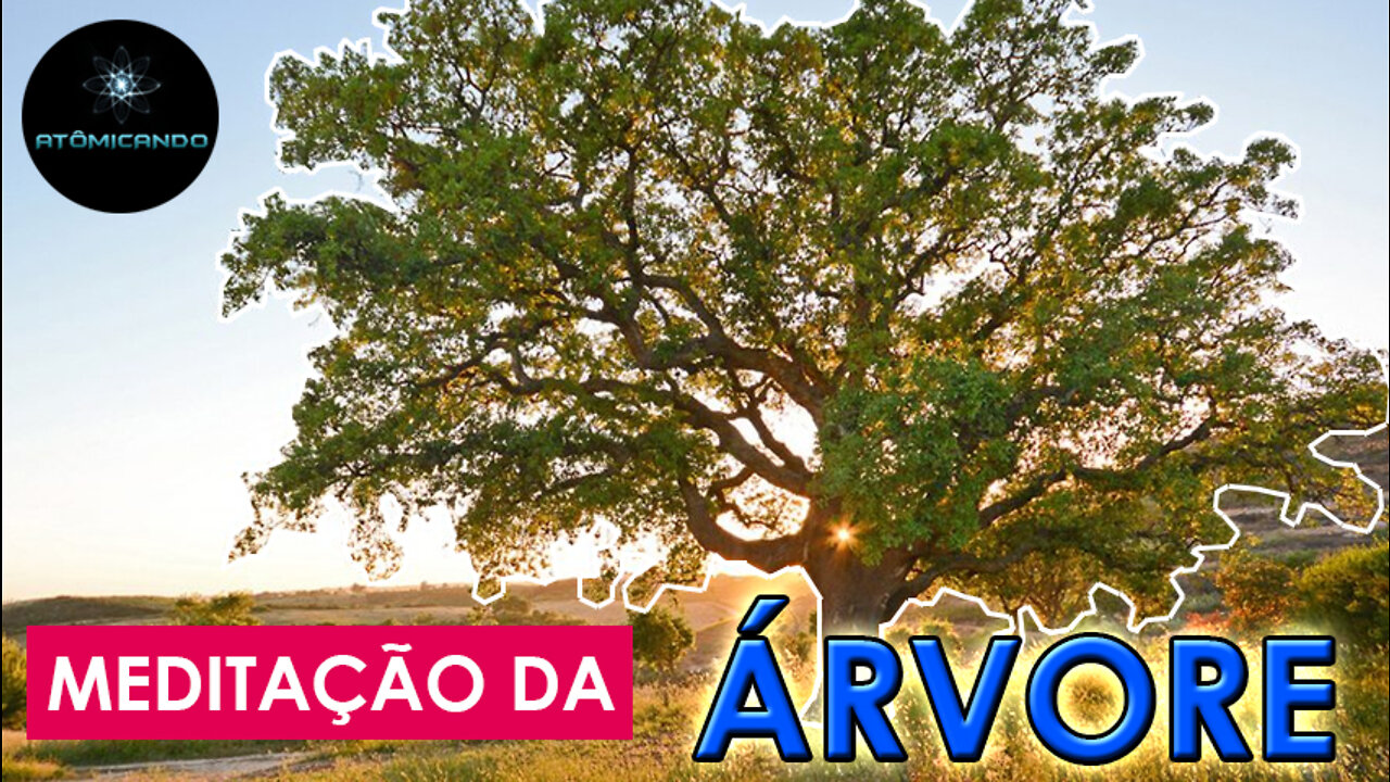 MEDITAÇÃO GUIADA: MEDITAÇÃO DA ÁRVORE