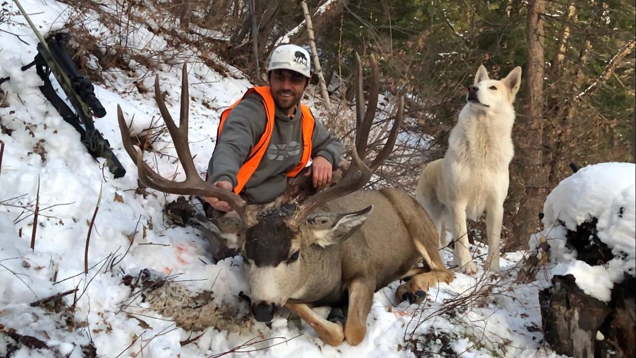 Giant High Country Public Land Mule Deer (DIY) ~ Episode 8