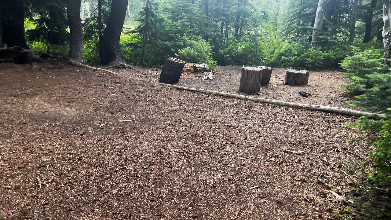 Reviewing the 2 Backcountry Campsites ON EAST SIDE of Elk Meadows Perimeter Loop! | 4K | Mount Hood