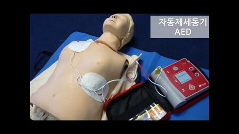 의학의 최전선에서, 제세동, 판사, 심폐소생술, 전기신호, 심장마비, 관상동맥, 심정지, 출혈, 뇌졸중, 펌프질, 중환자실, 심박수, 면역계, 혈액, 위장관, 영혼, 죽음,CPR
