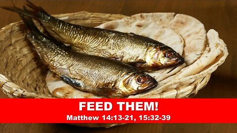 FEED THEM!