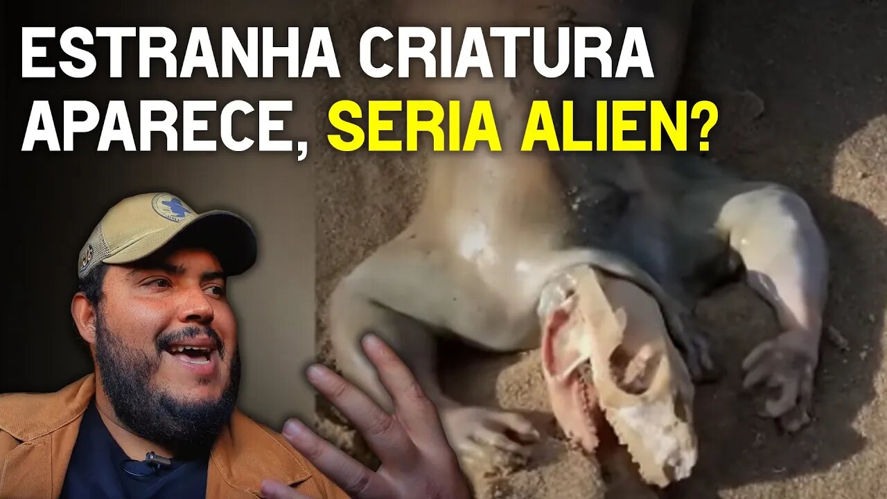 Estranha criatura aparece