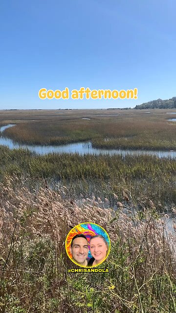 GORGEOUS WETLANDS VIEW