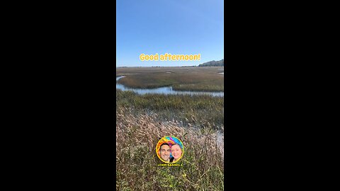 GORGEOUS WETLANDS VIEW