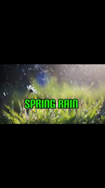 Spring Rain Shower #Shorts