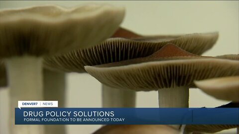 Foundation for Drug Policy Solutions launches in Denver