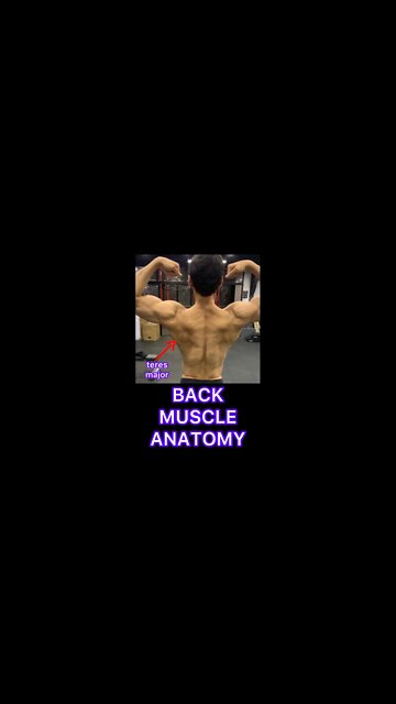 BACK MUSCLE ANATOMY #shorts #youtubeshorts