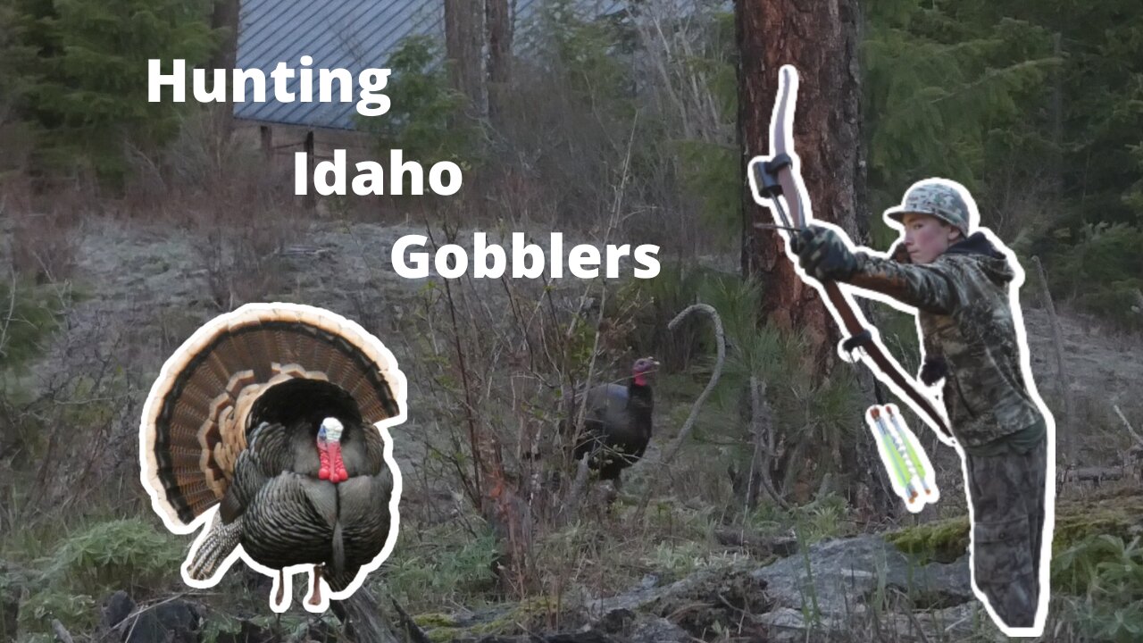 Bowhunting Idaho Turkeys Spring 2022