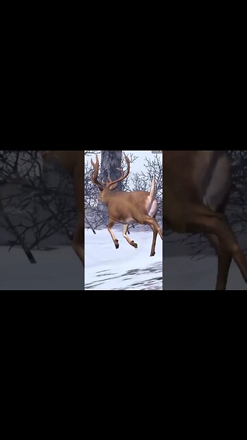 Hunting Coyotes #358 #elk #shorts #dog #animals #hunter #hunting #ytshorts #dog #coyotes #wildlife