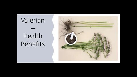 Valerian - Health Benefits