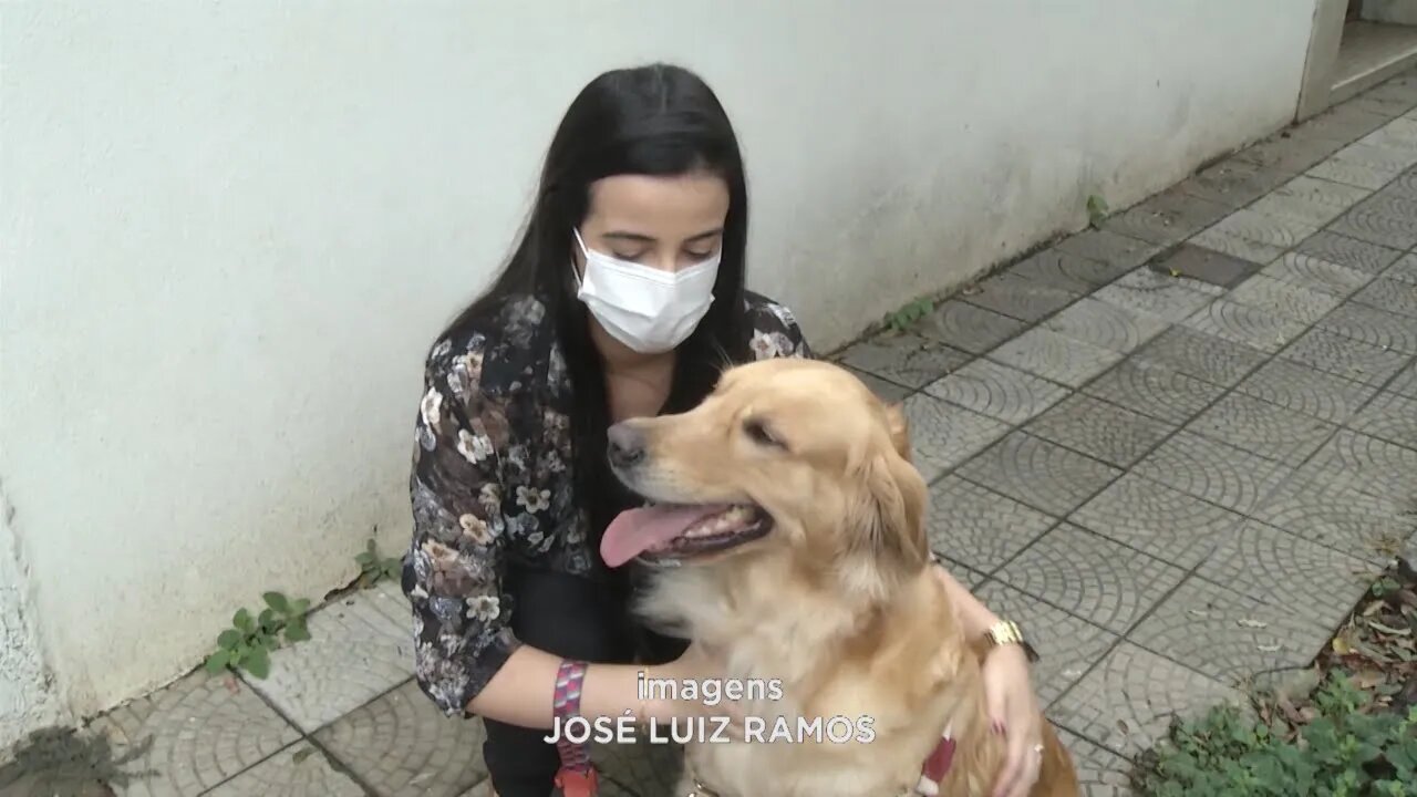 Cuidado com Pets: verão favorece proliferação de pulgas e carrapatos