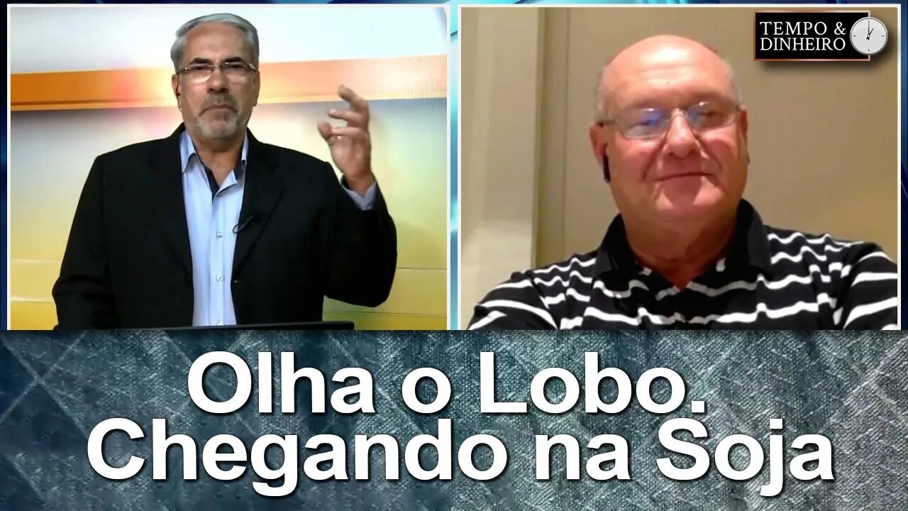 Olha o Lobo. Chegando na Soja