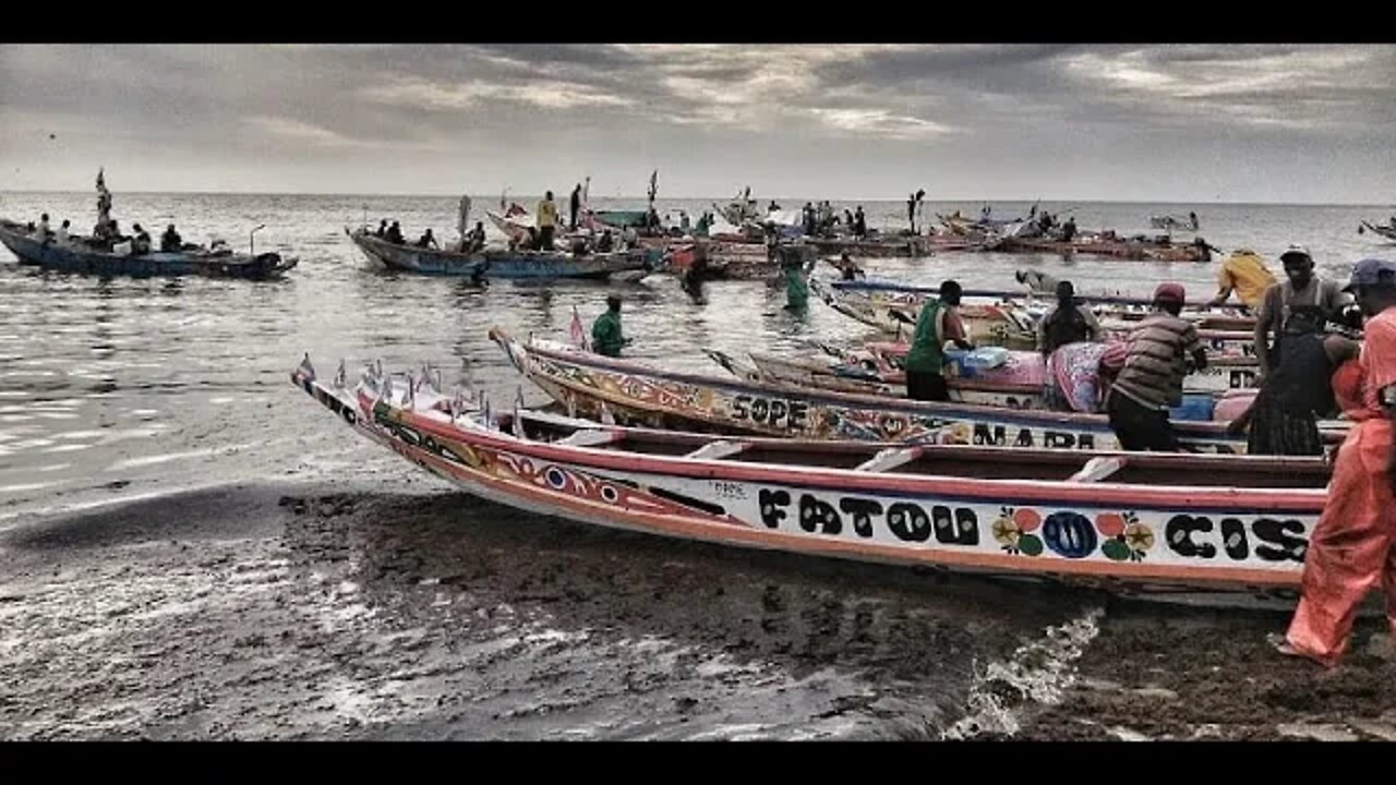 Au Sénégal, les pêcheurs subissent depuis des années la raréfaction des poissons