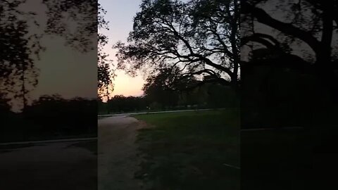 It's a beautiful morning. #sunrise #shorts #beautiful #random #morning