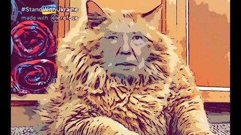 The Ultimate Donald Trump Cat Meme! 🐈