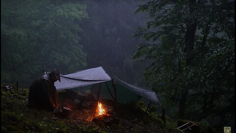 What is the best shelter for survival and camping in heavy rain?