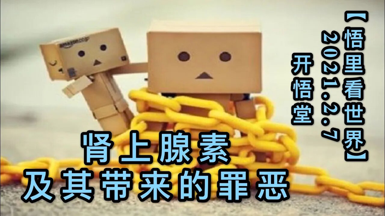 KWT1036肾上腺素及其带来的罪恶20210207-9【悟里看世界】