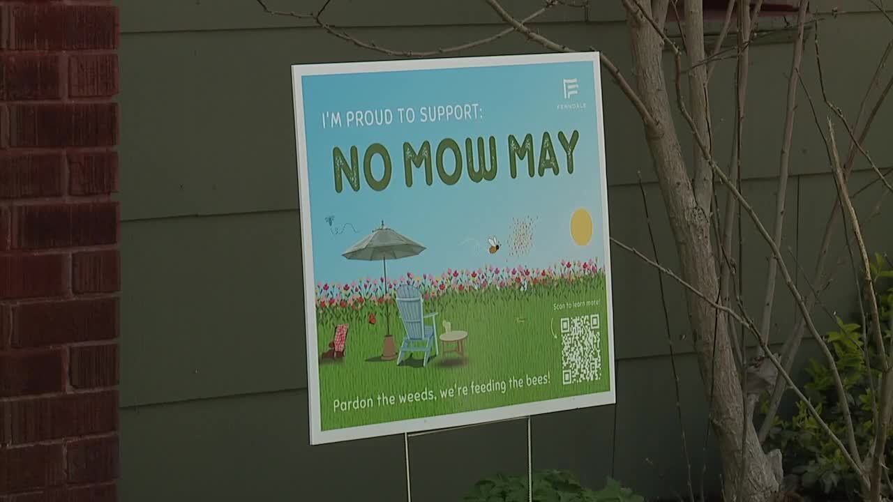 Ferndale set to launch inaugural "No Mow May"