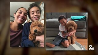 Baltimore County family's emotional support dog missing