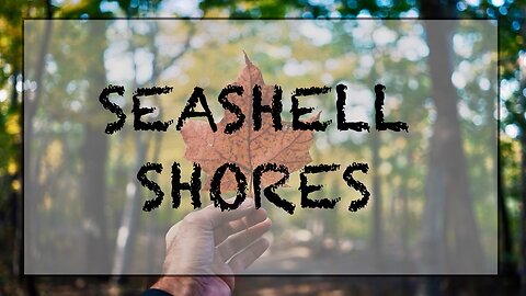 Seashell Shores