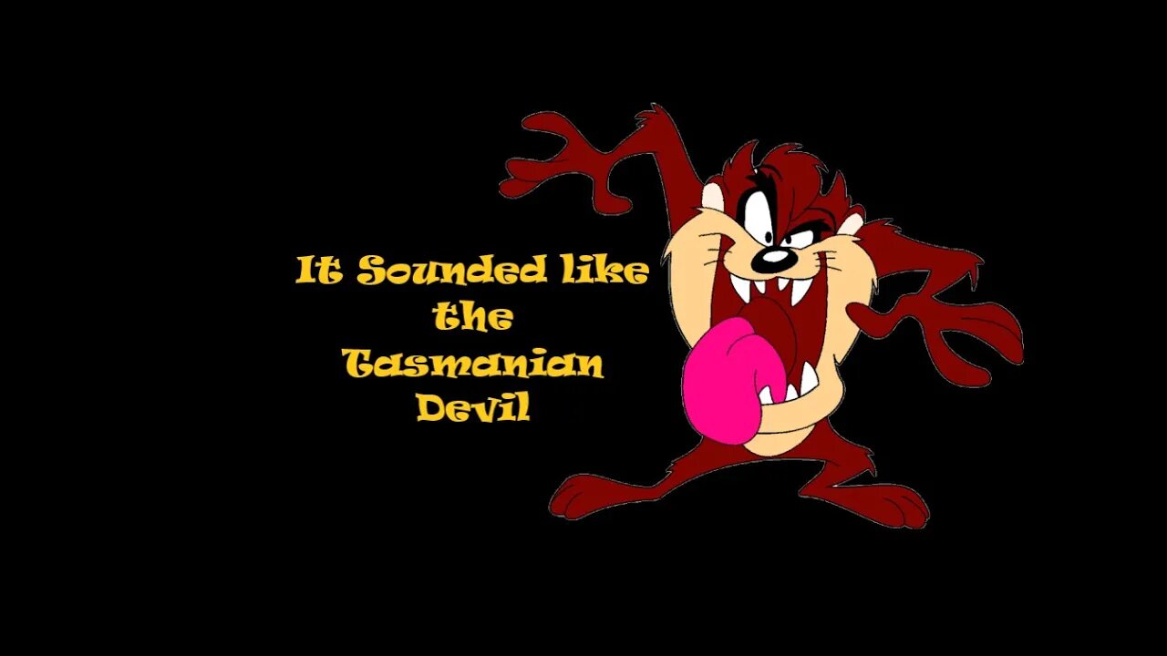 Tasmanian Devil Sound