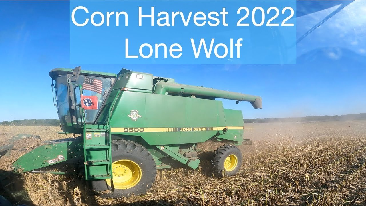 Corn Harvest 2022, Lone Wolf