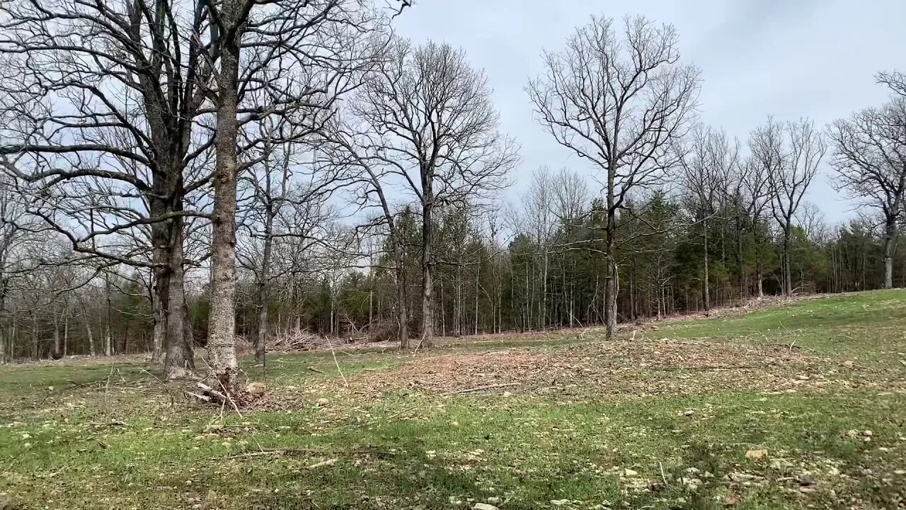 Homestead journey back on !