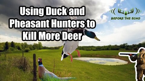 Using Pressure from Duck and Pheasant Hunters to Kill Bucks