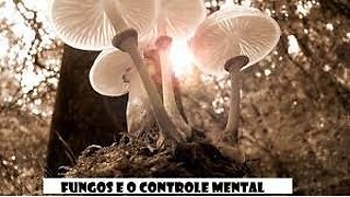 Fungos e o Controle Mental - A Guerra Espiritual no Mundo Micro