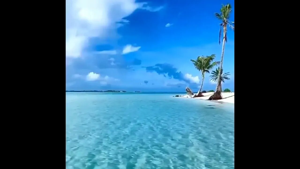 ❤️🌴🌊