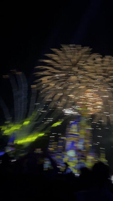 Magic kingdom fireworks