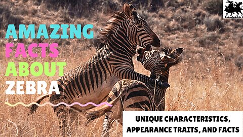 10 Amazing Facts About Zebra | Fun Facts about zebras | Zebra Facts And Traits | Animals Addict