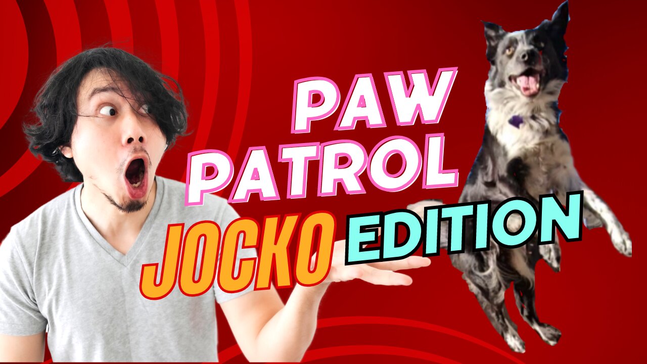 Paw Patrol- Jocko Edition 😆