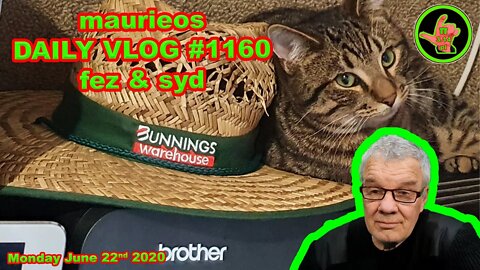 maurieos DAILY VLOG #1160 fez & syd
