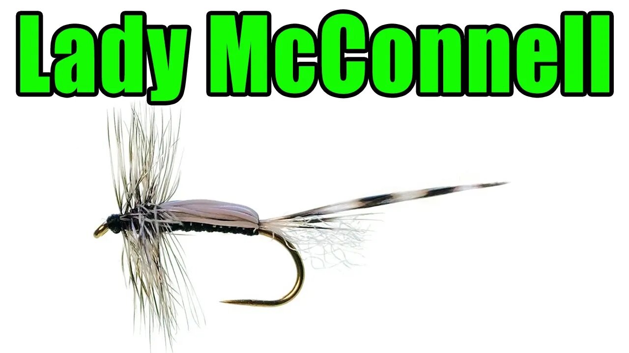 Chan's Lady McConnell Chironomid Dry Fly Tying - Brian Chan Fly Pattern