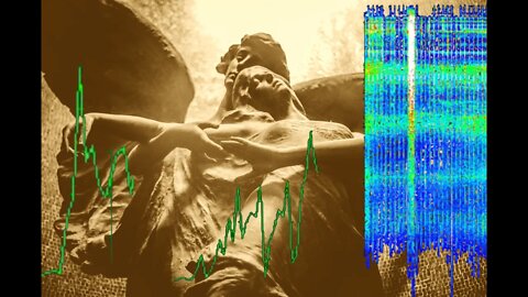 Schumann Resonance Feb/Mar Review - The Tsunami of Soul