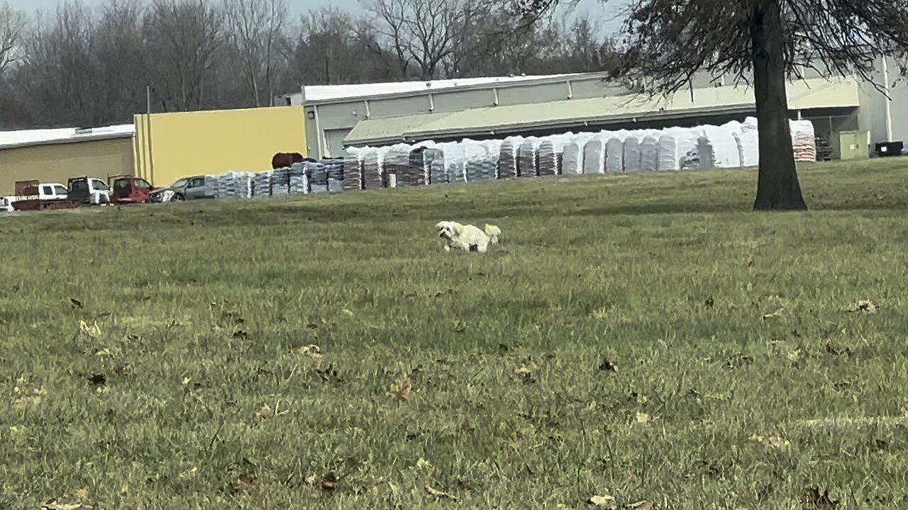 Kilo running for the bathroom