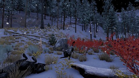 Getting Ready for a HUGE Journey?! · Cinder's Quest · Episode 3 · WolfQuest: Anniversary Edition