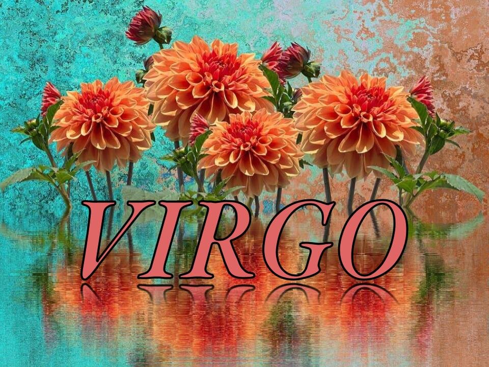 VIRGO THEY HAVE AN EXPLAINATION FOR THEIR TOXICITY