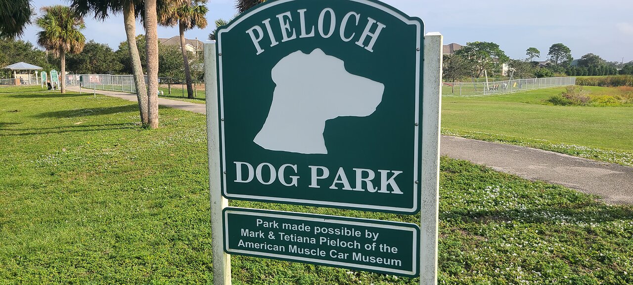 Luna At Pieloch Dog Park Melbourne Florida