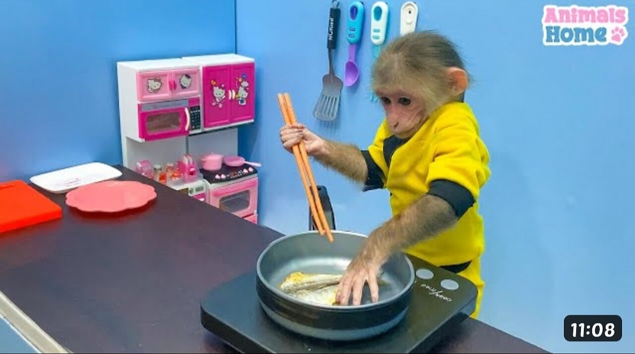 Monkey beautiful and cute 🥰🥺 funny videos 📷