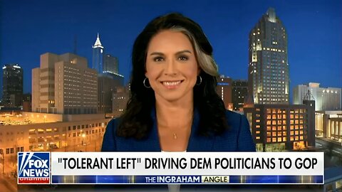 Tulsi Gabbard Blasts Democrats & The Democrat Party... On Pretty Much Everything