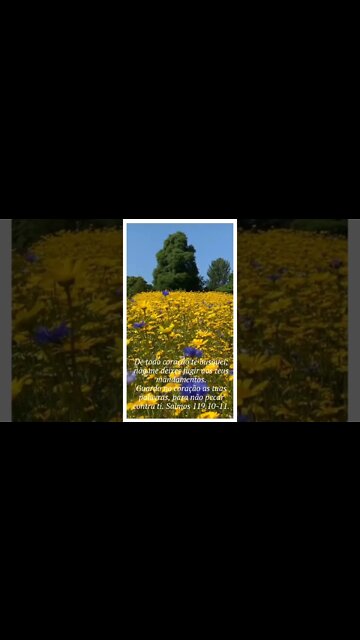 VERSÍCULO DO DIA 16/09/2022.#shorts