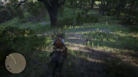 Red Dead Redemption 2 part 10