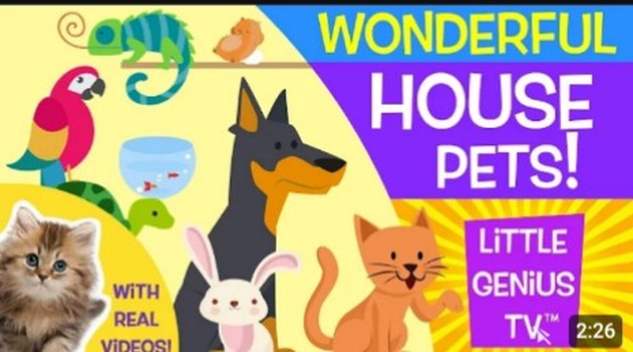 House Pets! | videos for babies, toddlers, kids