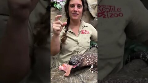 Worst bite ever inflicted on you and what animal?